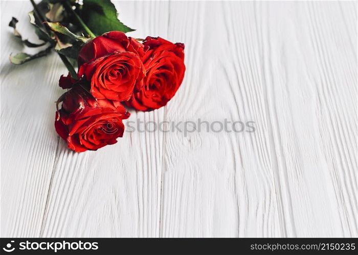red roses white background