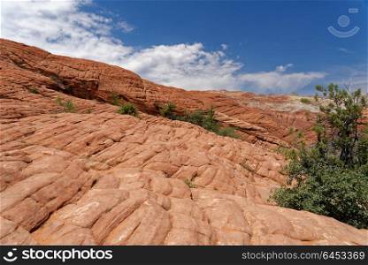 Red sandstone cliffs, Snow Canyon National Park, Utah