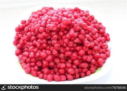 red schizandra isolated. rich harvest of ripe and red schizandra isolated