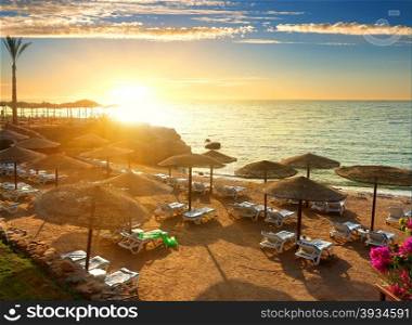 Red sea beach with parasols at sunset