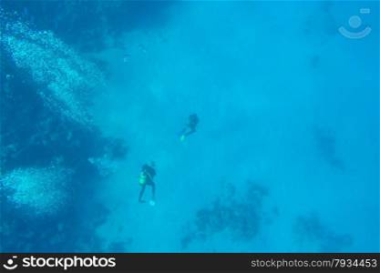 red sea coral reef with hard corals, fishes and sunny sky shining through clean water - underwater photo