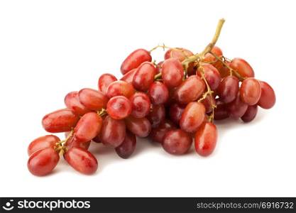 red seedless table grapes isolated on white background