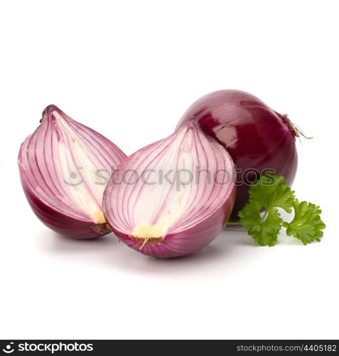 Red sliced onion and fresh parsley still life isolated on white background