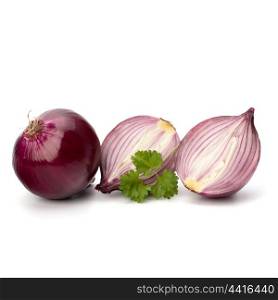 Red sliced onion and fresh parsley still life isolated on white background