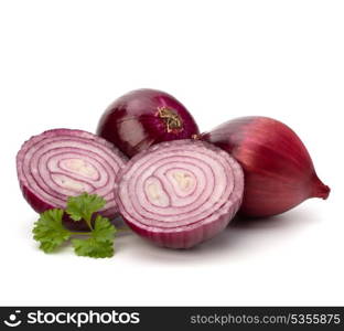 Red sliced onion and fresh parsley still life isolated on white background