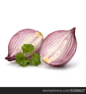 Red sliced onion half and fresh parsley still life isolated on white background