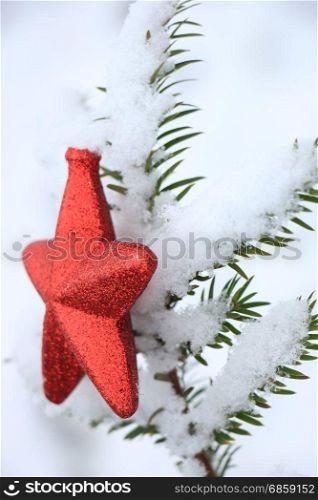 Red star ornament on a snow covered pine branch