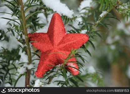 Red star ornament on a snow covered pine branch