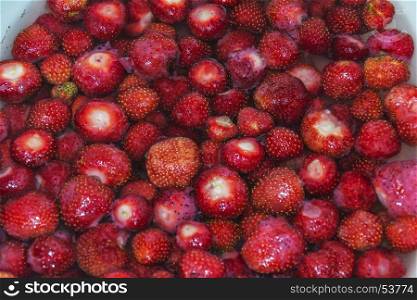 Red strawberries in the water