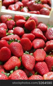 red strawberries pattern in maket box background
