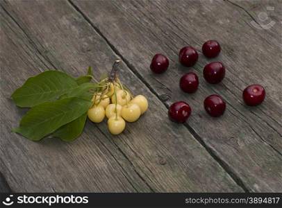 red sweet cherry and branch of white sweet cherry on the old desktop