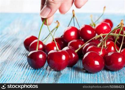 Red sweet cherry in hand on a blue wooden background