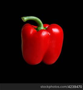 Red sweet pepper on a black background