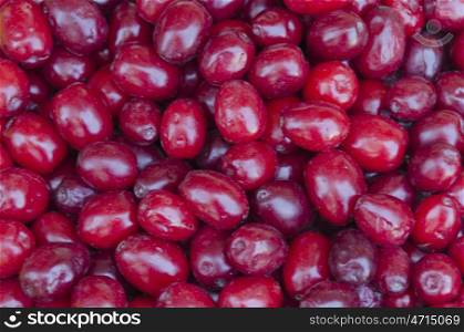 Red tasty wholesome vitaminous cornels fruits (Cornus mas)
