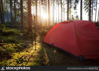 red tent and Trekking poles in the forest against the background of the rising sun