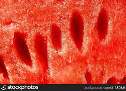 Red texture of water melon