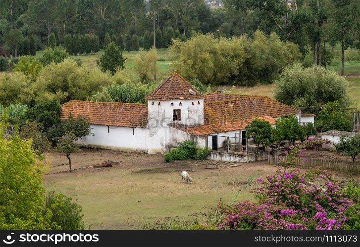 Red tiled roof on whitewashed Portuguese riding stables with horse nibbling the grass. Old Portuguese riding stable with horse grazing the meadow