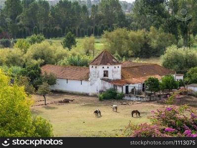 Red tiled roof on whitewashed Portuguese riding stables with horse nibbling the grass. Old Portuguese riding stable with horse grazing the meadow