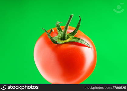 Red tomato against gradient background