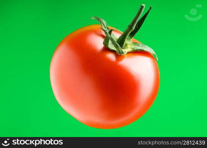 Red tomato against gradient background