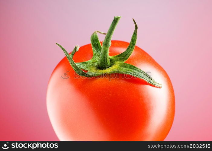 Red tomato against gradient background