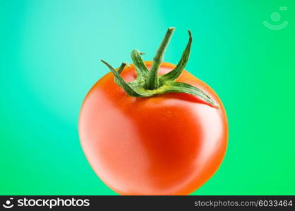 Red tomato against gradient background