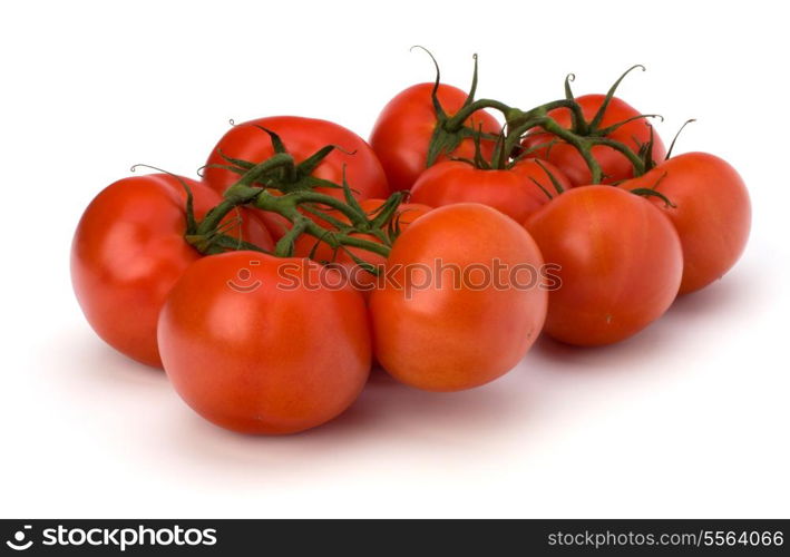 red tomato isolated on the white background