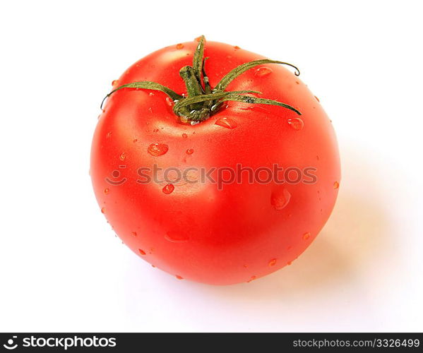 red tomato on white background