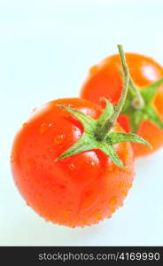 red tomato with water drops