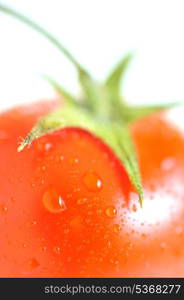 red tomato with water drops