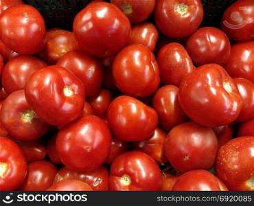 Red tomatoes background. Group of tomatoes .. Red tomatoes background. Group of tomatoes . Background for market .