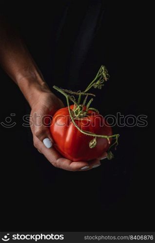 Red tomatoes in woman hands. Fresh tomatoes on Rustic stile dark background.. Red tomatoes in hands