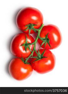 Red tomatoes on white background. Top view