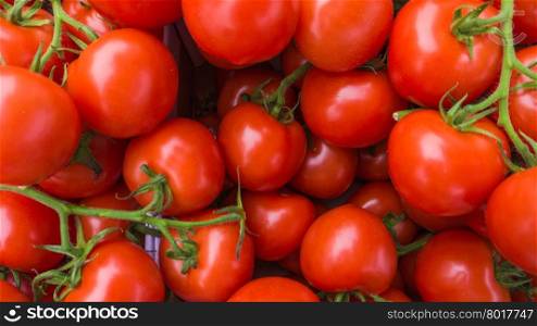 Red tomatoes. tomato