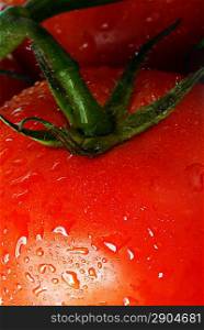 red tomatoes with branch and water drops