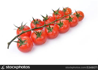 red tomatoes with branch and water drops on white background