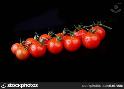 red tomatoes with branch on black background