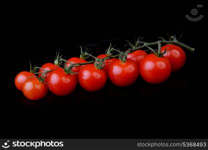 red tomatoes with branch on black background