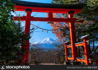 Red Torii gate of Chureito Pagoda and Snow covered Mount Fuji under autumn blue sky in centre. Shimoyoshida - Arakurayama Sengen Park in Fujiyoshida near Kawaguchigo