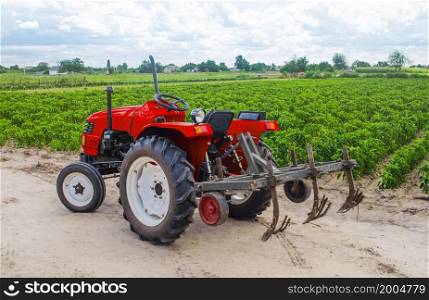Red tractor with a plow on plantation of paprika pepper bushes. Farming agribusiness, agriculture industry. Agricultural machinery equipment. Farmland. Growing food and caring for crops