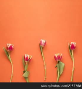 red tulip flowers orange table