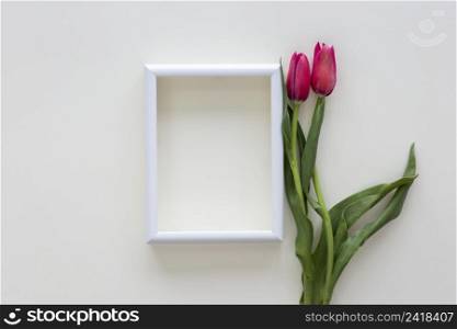 red tulip flowers white border frame white desk