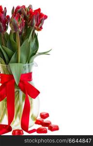  red tulip flowers with  red hearts  isolated on white background. fresh red tulip flowers