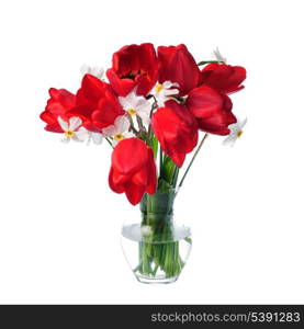 Red tulips and white narcissuses in vase isolated.