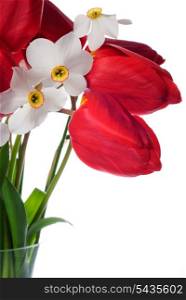 Red tulips and white narcissuses in vase isolated.