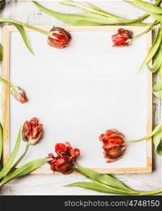 Red tulips frame on white chalkboard background , top view