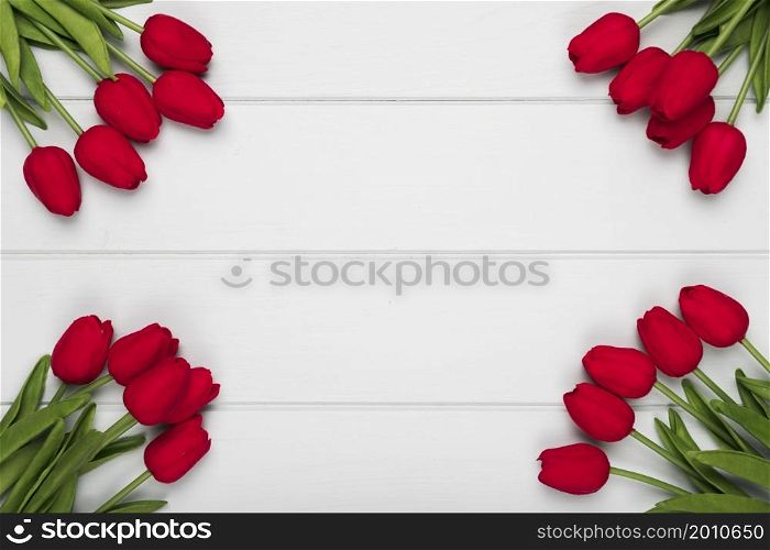 red tulips frame with copy space