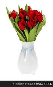 Red tulips on white background (with sample text)