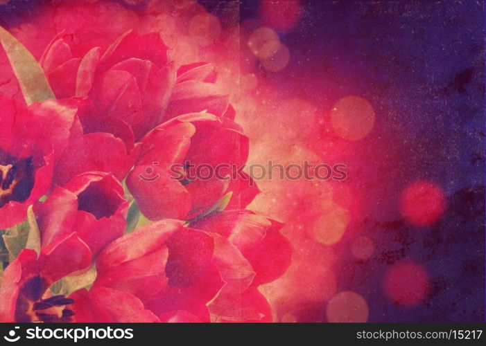 Red tulips photo with a vintage effect