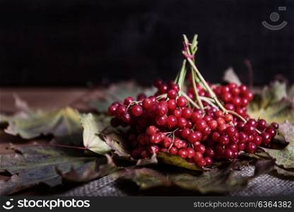 red viburnum berries on a branch on the table with leaves